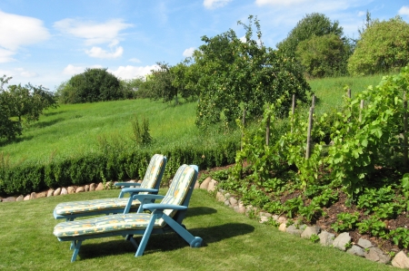 Streuobstwiese hinter unserem Haus